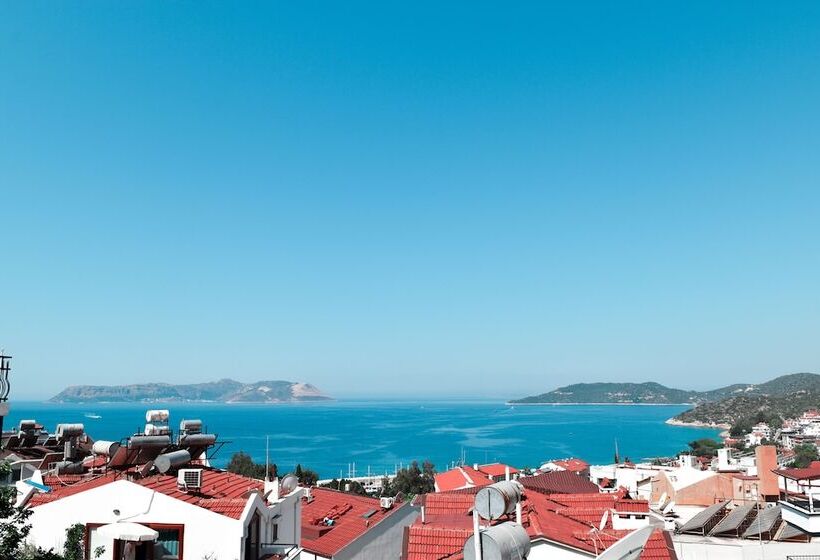 Standard Værelse m. Havudsigt, Smyrna Pansiyon