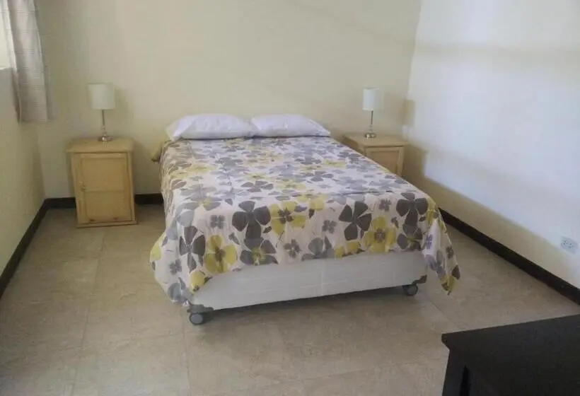اتاق استاندارد, Wild Olive Guest House