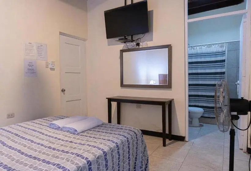 اتاق استاندارد, Wild Olive Guest House