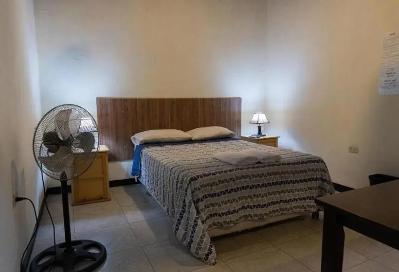 اتاق استاندارد, Wild Olive Guest House