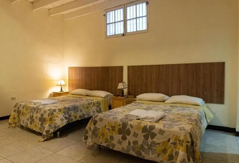اتاق استاندارد با 2 تخت دوبل, Wild Olive Guest House