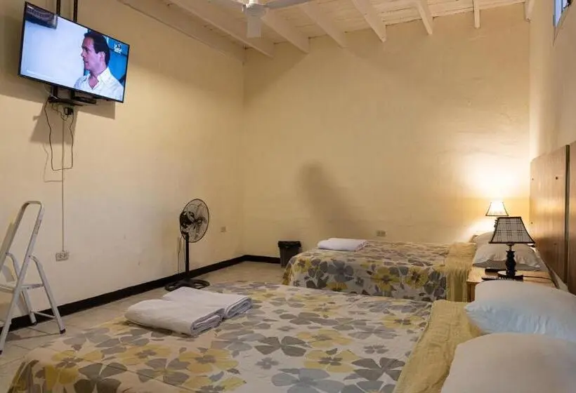 اتاق استاندارد با 2 تخت دوبل, Wild Olive Guest House
