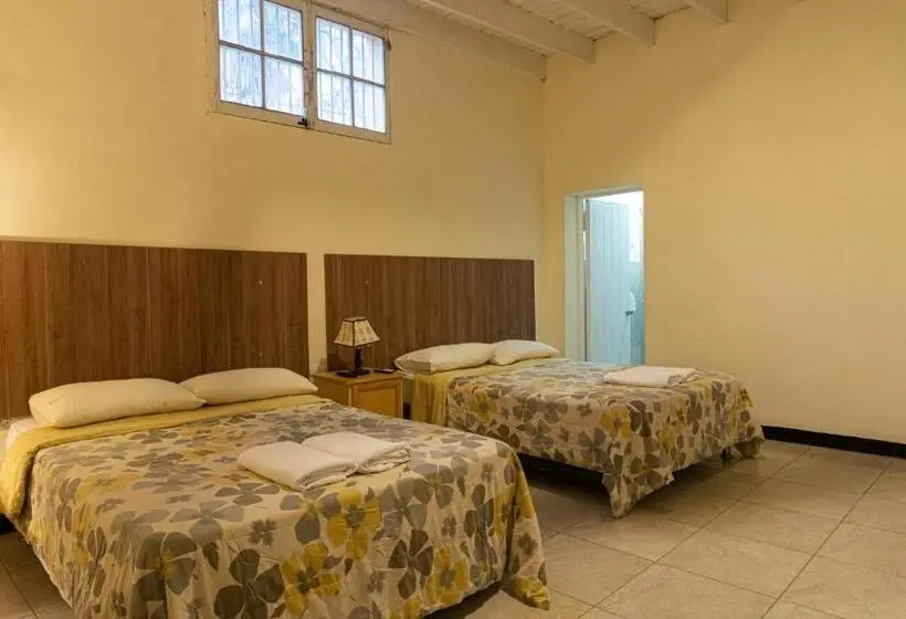 اتاق استاندارد با 2 تخت دوبل, Wild Olive Guest House