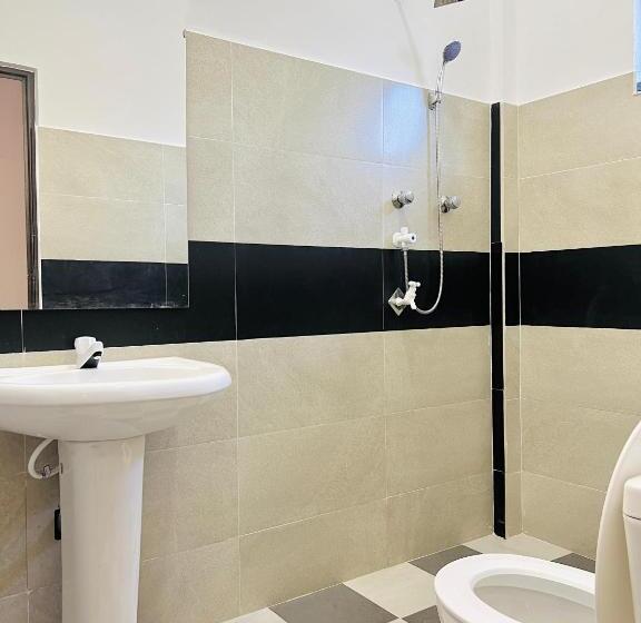 标准单人间, Sevenday