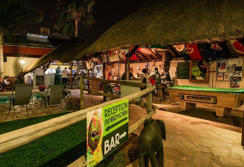 چادر با خدمات رفاهی استاندارد, Chameleon Backpackers & Guesthouse