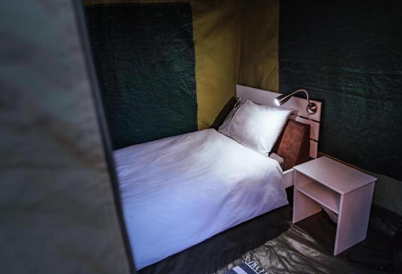 چادر با خدمات رفاهی استاندارد, Chameleon Backpackers & Guesthouse