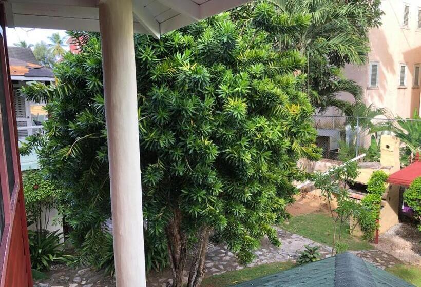 استودیو استاندارد با چشمانداز باغ, Casa Robinson