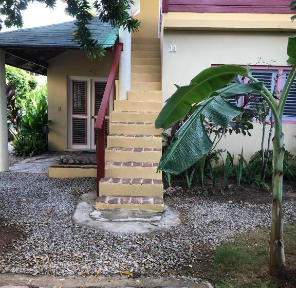 استودیو استاندارد با چشمانداز باغ, Casa Robinson