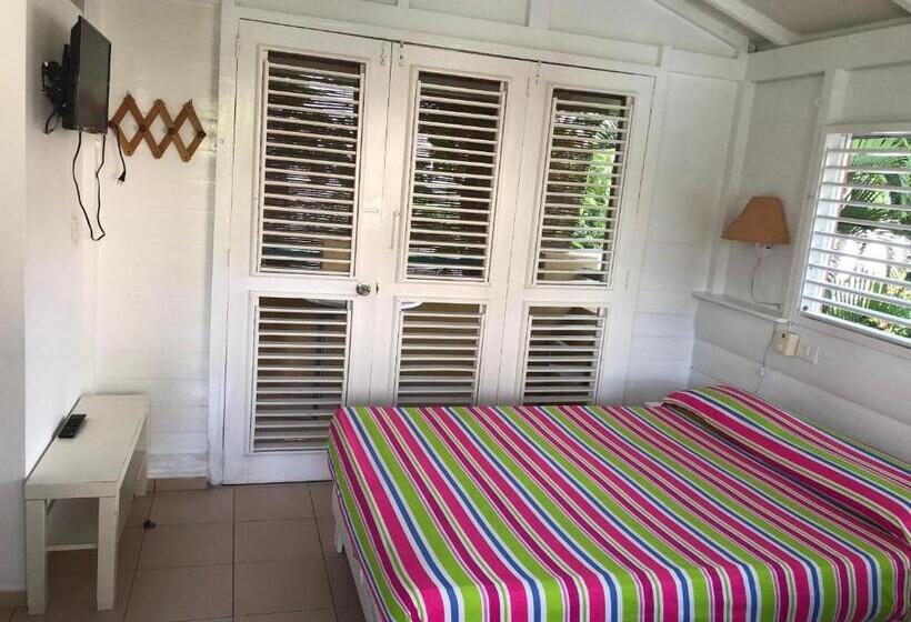 استودیو استاندارد با چشمانداز باغ, Casa Robinson