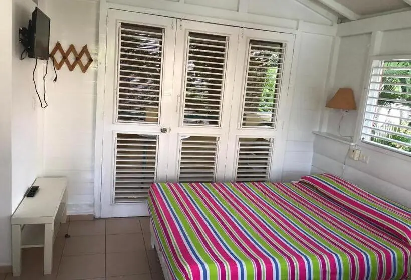 استودیو استاندارد با چشمانداز باغ, Casa Robinson