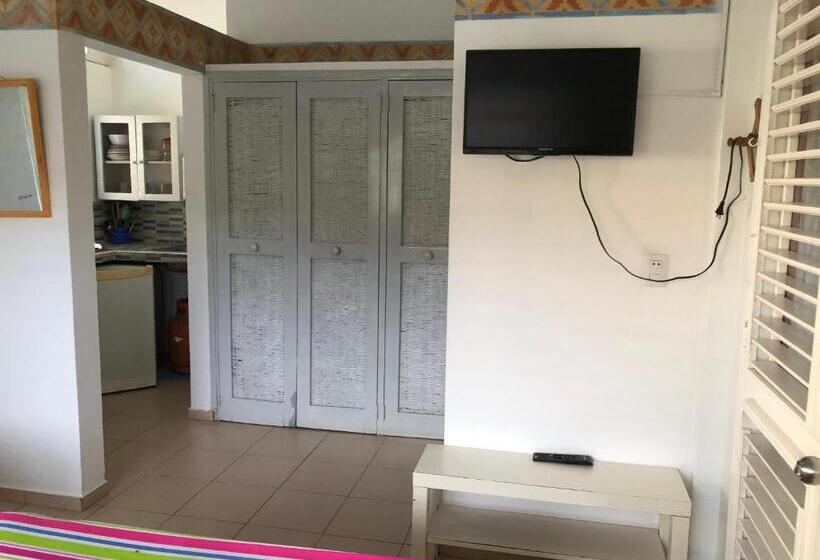 استودیو استاندارد با چشمانداز باغ, Casa Robinson