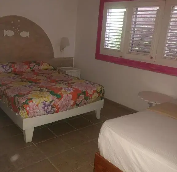 آپارتمان 1 خوابه با چشمانداز باغ, Casa Robinson