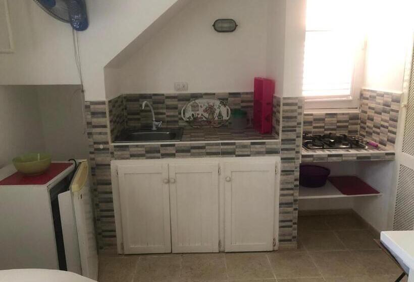 آپارتمان 1 خوابه با چشمانداز باغ, Casa Robinson