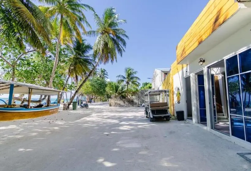 اتاق استاندارد, Turtle Hive   Velaa Vani