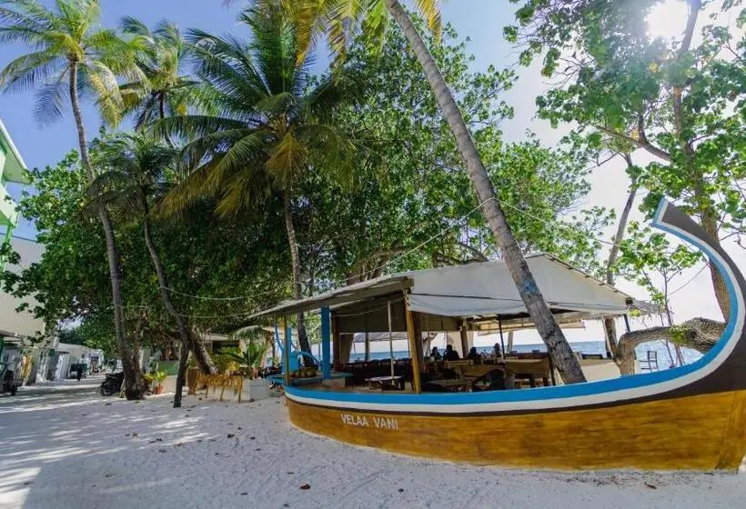 اتاق استاندارد, Turtle Hive   Velaa Vani
