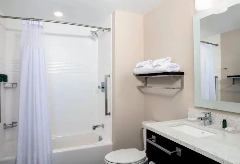 スイート, Springhill Suites by Marriott Orlando Theme Parks/Lake Buena Vista