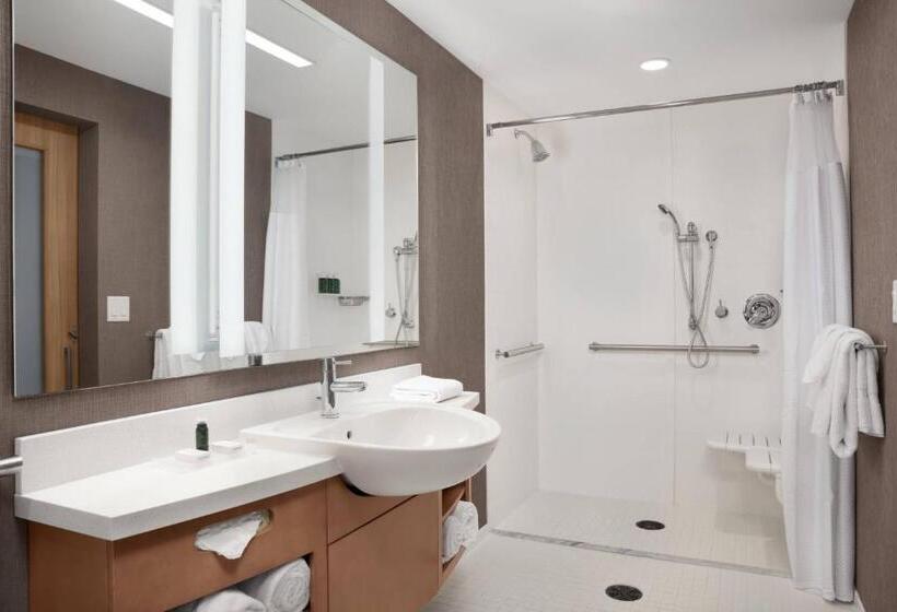 适合残疾人士使用的套间, Springhill Suites by Marriott Orlando Theme Parks/Lake Buena Vista