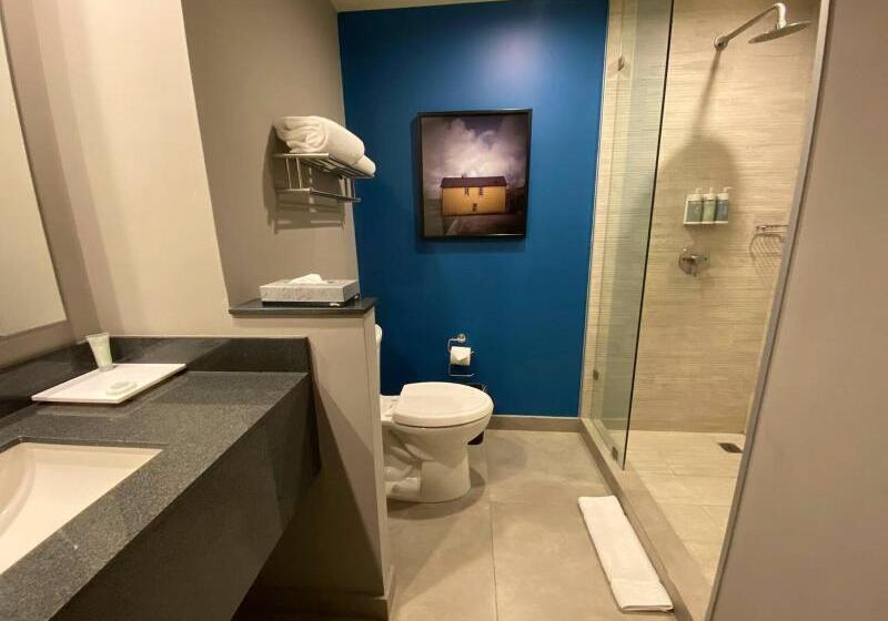 Suite Pat King, Fairfield Inn & Suites By Marriott Aguascalientes