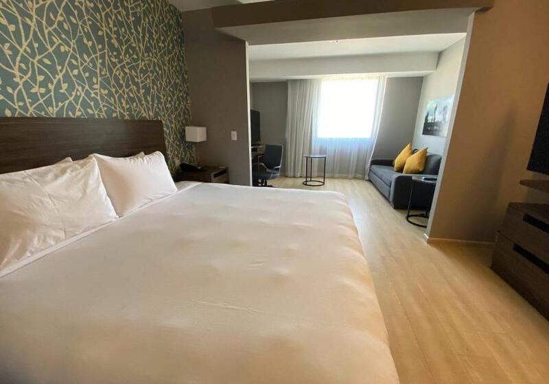 Suite Pat King, Fairfield Inn & Suites By Marriott Aguascalientes