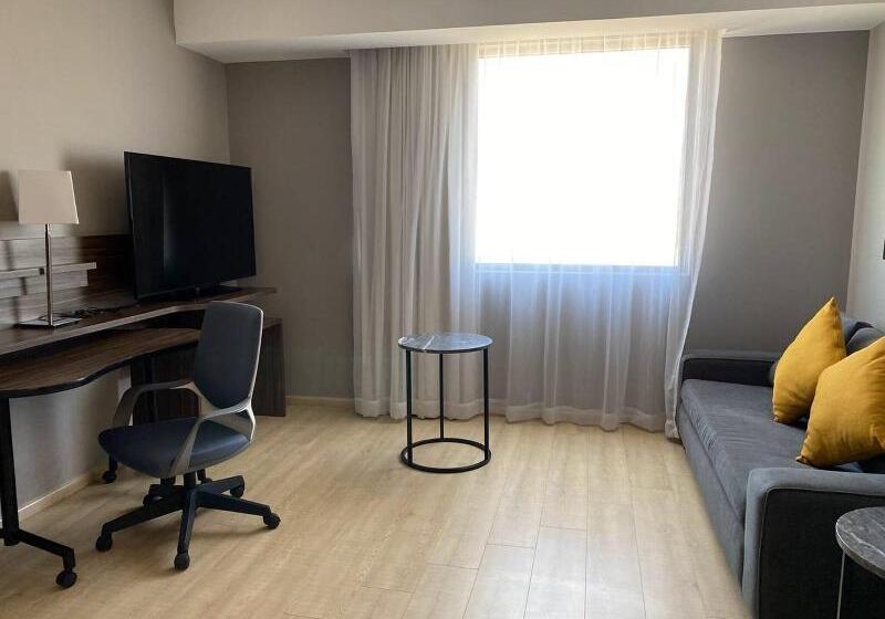 Suite Pat King, Fairfield Inn & Suites By Marriott Aguascalientes