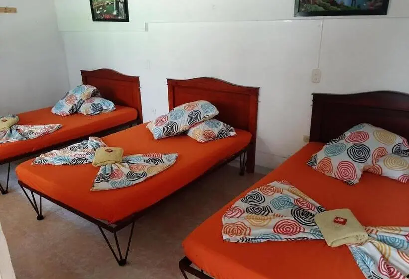 Standard Kolmen Hengen Huone, Andaluz