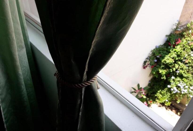 غرفة قياسية فردية, Oaxaquita La Bella