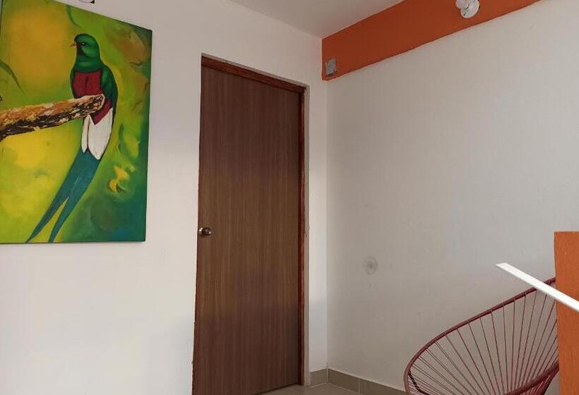 غرفة كومفورت ثلاثية, Oaxaquita La Bella