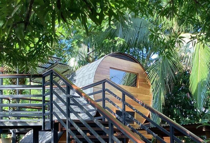 اتاق استاندارد با سرویس بهداشتی مشترک, Secret Garden