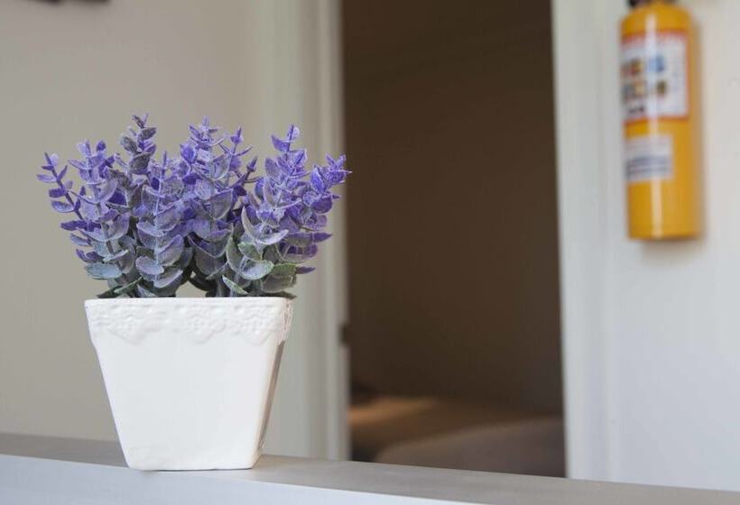 스탠다드 룸, Ataraxy Hotel Boutique