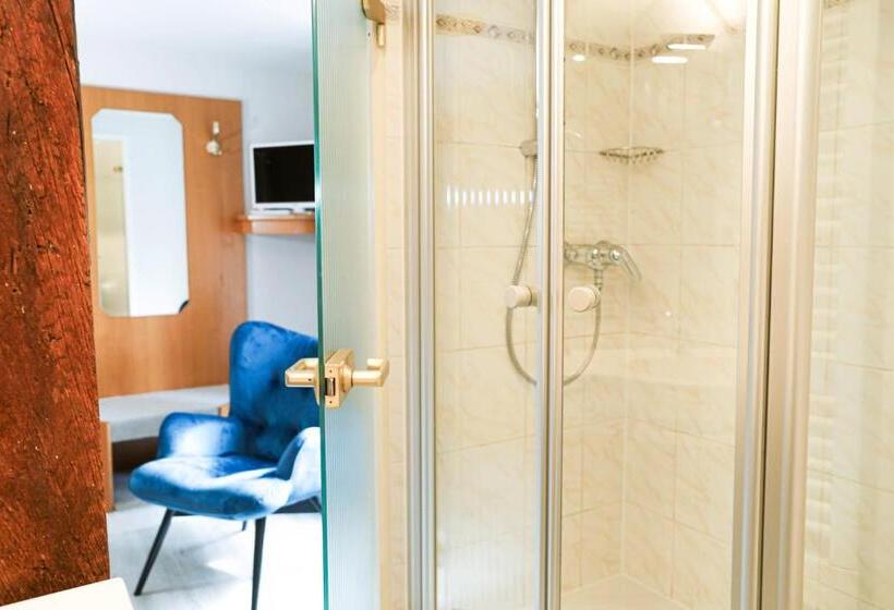 Одноместный Номер Basic, Landhotel Bonsmann S Hof