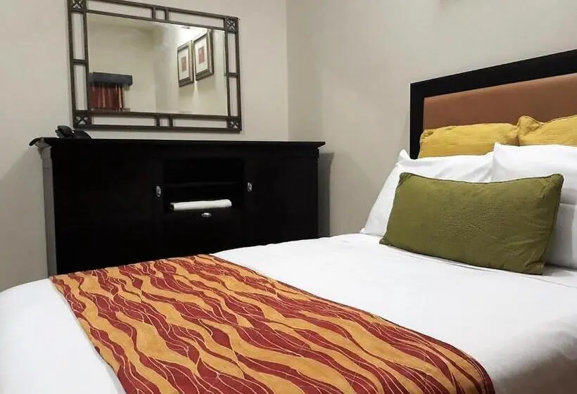اتاق استاندارد یک نفره, El Viejo Inn
