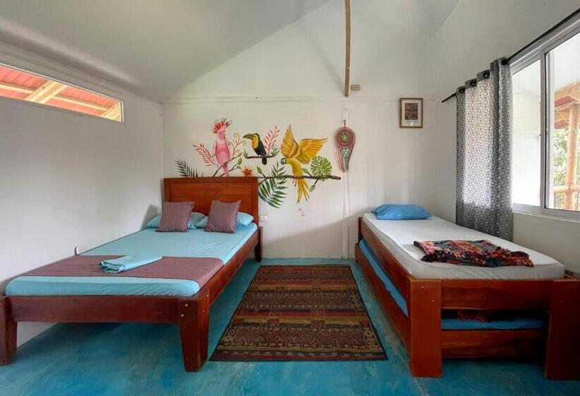 اتاق استاندارد چهار تخته, El Zoo Hostel, Bar & Pool