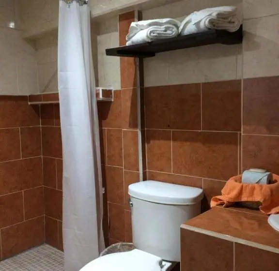 اتاق استاندارد با تخت بزرگ, Kali Huasteca Posada