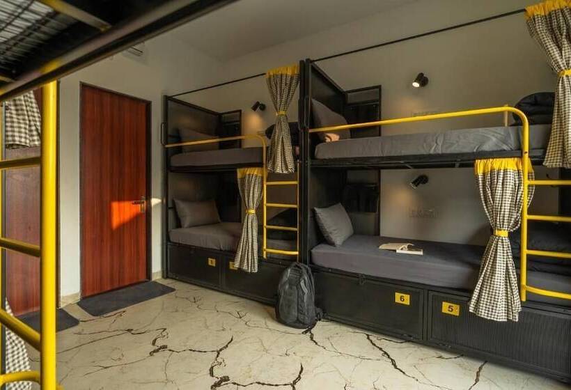 Lit en Chambre Commune, The Hosteller Goa, Mandrem