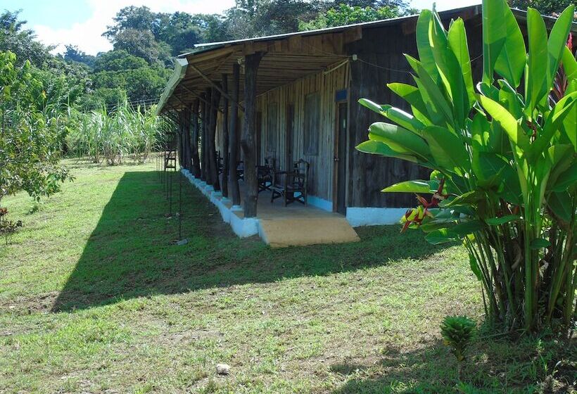 스탠다드 룸, El Tesoro De Sir