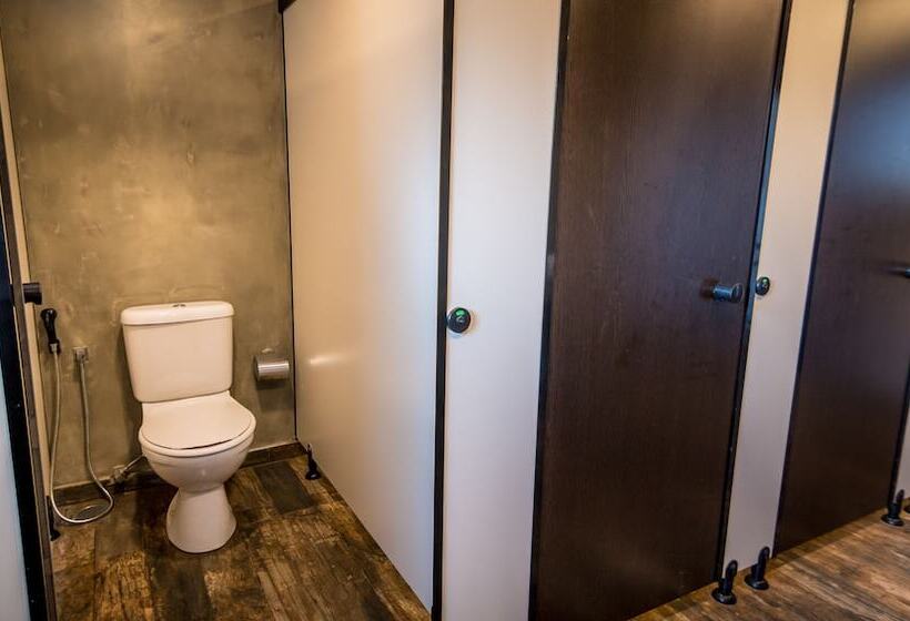 공동 객실, Island Hostels