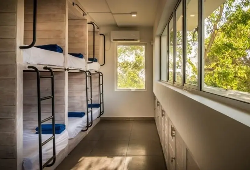 ルームシェアのワンベッド, Island Hostels