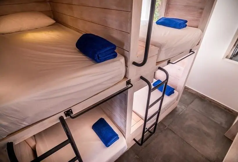 ルームシェアのワンベッド, Island Hostels