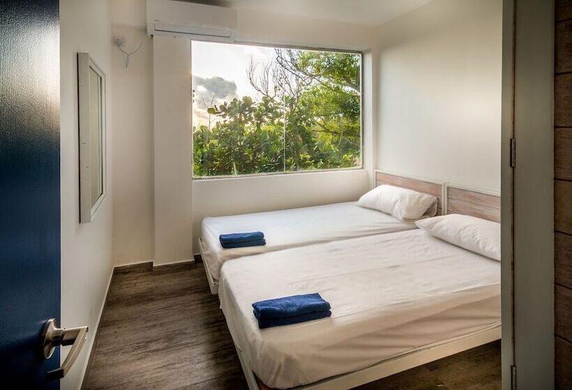 프리미엄 룸, Island Hostels