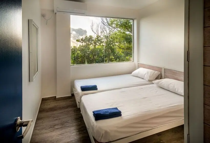 プレミアムルーム, Island Hostels