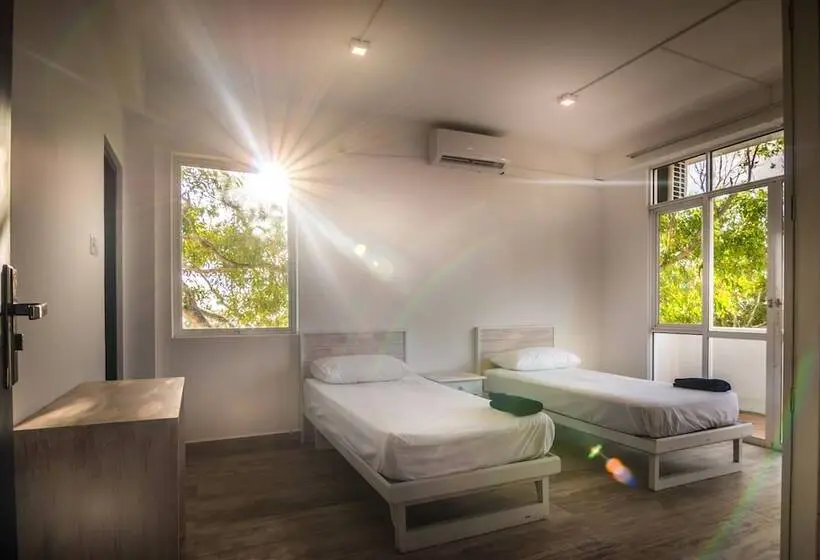 プレミアムルーム, Island Hostels