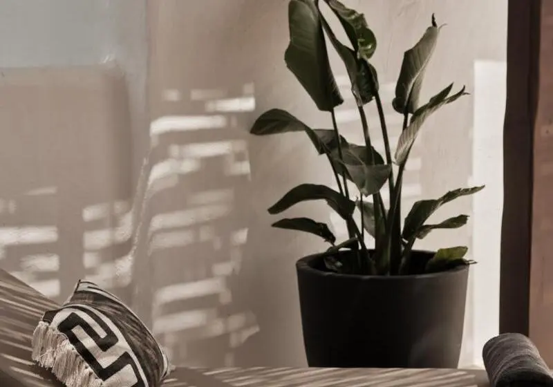 اتاق استاندارد با تراس, Oku Andalusia – Alcaidesa