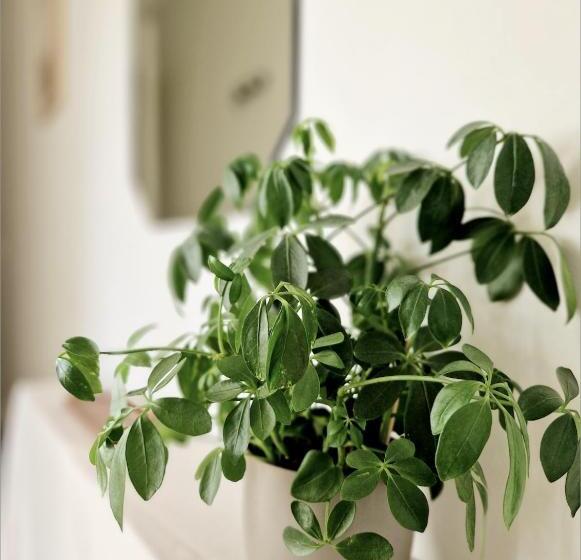 Chambre Standard Vue Jardin, Fontänens Bed & Breakfast