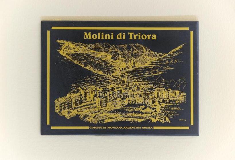 غرفة ديلوكس, Albergo Giuan Arma Di Taggia