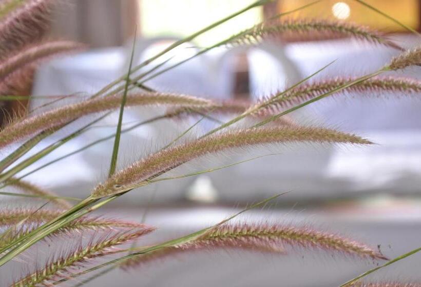 Номер Стандарт с Балконом, Ratanakiri Paradise Hotel & Restaurant