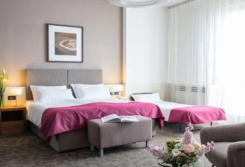 オーシャンビュースーペリアールーム, Brijuni Hotel Istra