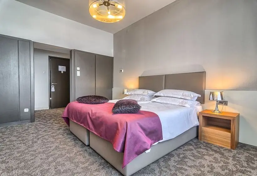オーシャンビュースタンダードルームバルコニー付き, Brijuni Hotel Istra