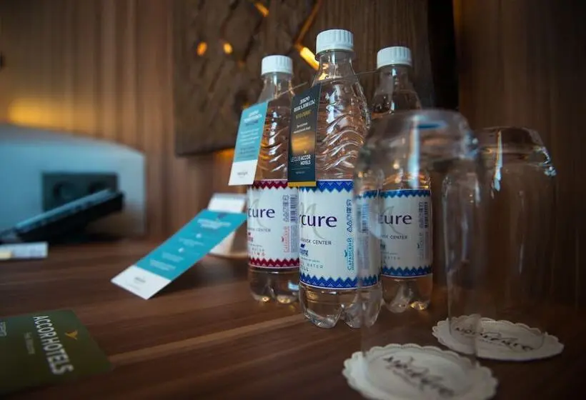 スタンダードルーム, Mercure Saransk Center