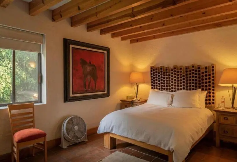 اتاق استاندارد, La Provence Restaurant & Hotel Boutique
