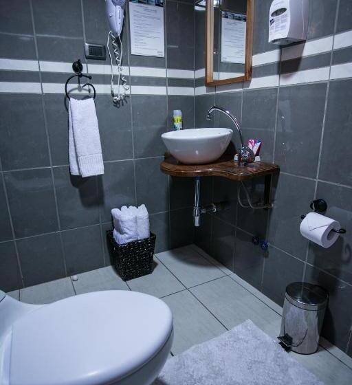 חדר סופריור, Parina Atacama